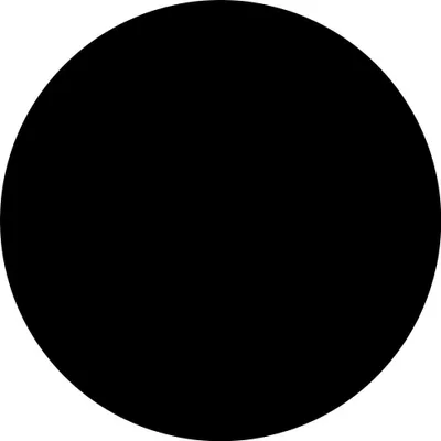 A solid black circle on a white background.