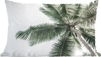 Produktbild von MuchoWow® Zierkissen Sofakissen Wohnzimmer Dekokissen 50x30 cm Palme - Tropisch - Sommer - Wohnzimmerdekoration - Polster mit Photo