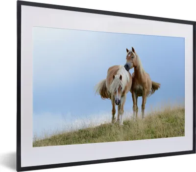 Produktbild von MuchoWow® MuchoWow® Gerahmtes Poster Haflingerpferde auf der Wiese 40x30 cm - Poster mit zchwarzem Bilderrahmen - Bilderrahmen - Poster im Rahmen