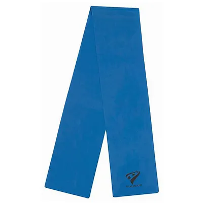 Productafbeelding van Rucanor - Trainingsband 3 - Weerstandsband, Sterk