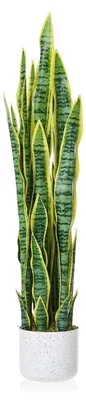 Produktbild von Künstliche Schwiegermutterzunge (Sansevieria) - Bodenpflanze im Topf - 90 cm - PVC-Blätter - Für Außenbereich - Grün