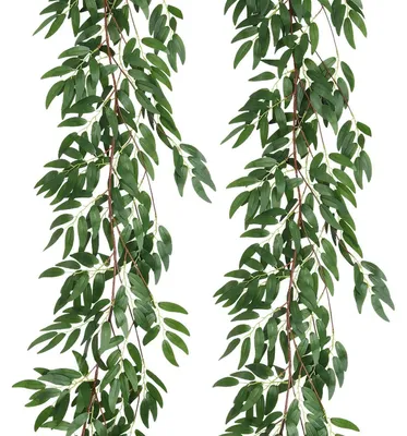 Immagine prodotto di Ghirlanda di salice artificiale, 2 pezzi, in seta, 180 cm, pianta pensile artificiale, edera, verde, decorazione