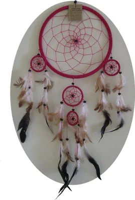 Productafbeelding van Droomvanger, veren, dromen, cadeau, decoratie, hangend, windgong, ruimteharmonisatie, 16 cm, roze