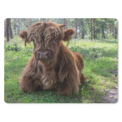 Produktbild von MuchoWow® Mauspad Mousepad Schottischer Highlander - Kröte - Tiere 23x19 cm - Mousepads - Maus Mat - Pad - Mausunterlage - Schreibtischunterlage - Mauspad