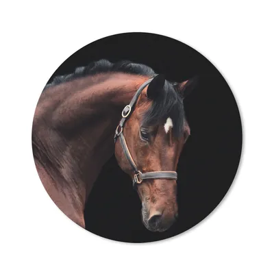 Produktbild von MuchoWow® Mauspad Mousepad Pferd - Halfter - Braun 40x40 cm - Mousepads - Maus Mat - Pad - Mausunterlage - Schreibtisch Accessoires