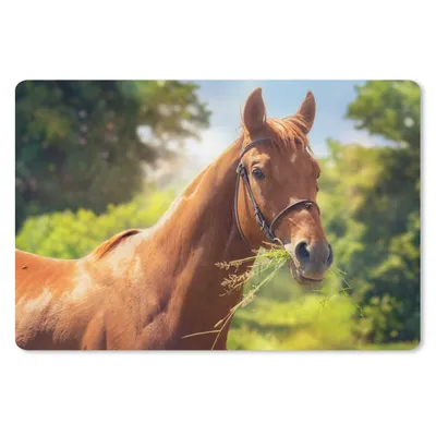 Produktbild von MuchoWow® Schreibtischunterlage Pferd - Licht - Porträt 60x40 cm - XXL Mauspad - Großes Mauspad