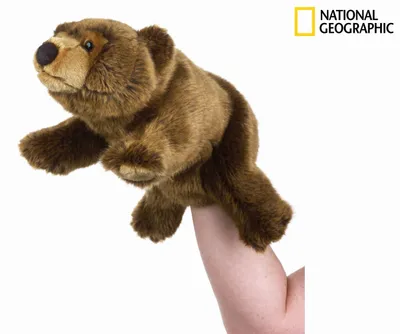 Productafbeelding van National Geographic Grizzlybeerpop 23 cm