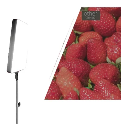 Productafbeelding van Fotografieverlichting, verstelbaar statief, opties met twee kleuren, statief van 100 cm