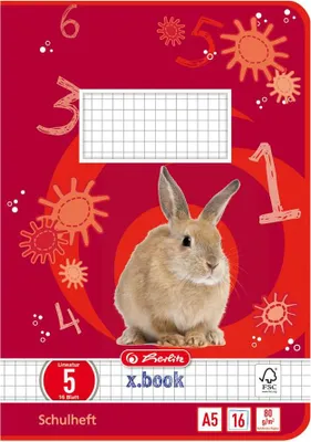 Produktbild von 10 Herlitz Schulhefte / DIN A5 / 16 Blatt / Lineatur 05