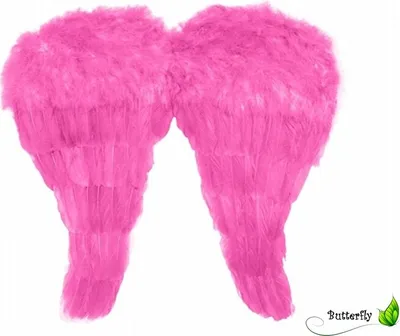 Produktbild von Engelsflügel , Auswahl:SK2-006 52cm x 45cm pink