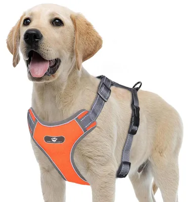 Immagine prodotto di Imbracatura riflettente per cani, antistrappo, traspirante, colore arancione, taglia S