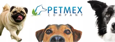 Zdjęcie produktu dla PETMEX Tchawica wołowa dla psa naturalny przysmak 30 cm