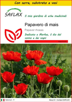 Immagine prodotto di SAFLAX Insieme di coltivazione - Papavero di mais - 27000 semi - Papaver