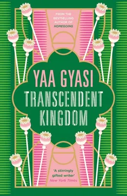 Image de Transcendent Kingdom