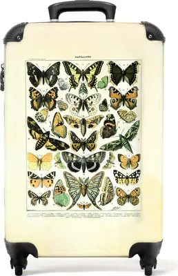 Obrázok produktu pre NoBoringSuitcases.com® Kufr Príručná batožina Kufr na kolieskach Malý cestovný kufor na 4 kolieskach - Butterfly - Nature - Vintage - Illustration - Animals - Cabin Size < 55x40x23 cm & 55x40x20 cm - Foto kufor - Príručný kufor - Palubná batožinaPríručná batožina Kufr 55x35x20 cm, 36L,