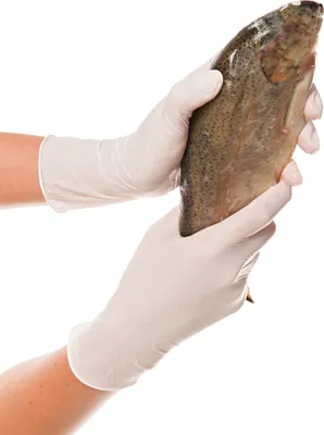 Produktbild von Franz Mensch Nitrilhandschuhe ALLFOOD SAFE, puderfrei, 10 x 250 Stück, weiß, Größe M