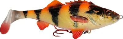 Produktbild von Savage Gear 4D Perch Shad - Gummifisch, Farbe:Albino, Länge / Gewicht:17.5cm / 75g