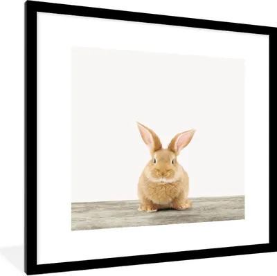 Produktbild von MuchoWow® Gerahmtes Poster Kaninchen - Babykaninchen - Tiere - Kinder - Mädchen - Jungen 40x40 cm - Poster mit Schwarzem Bilderrahmen Wandposter Rahmen Foto Bilder - Poster - Plakat im Rahmen