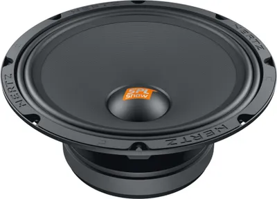 Immagine prodotto di Diffusore Hertz SV 250.1