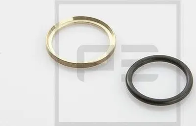 Immagine prodotto di Set Di Guarnizioni Fi12 Anello+Inserto