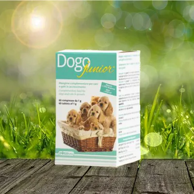 Produktbild von Dogoteka - DogoJunior - 60 Stück   unterstützt Sehnen, Bänder, Gelenke - mit Grünlippmuschel