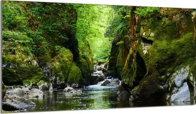 Image de Plaque de recouvrement 90x52 pour cuisinière Vitrocéramiquefeld Couverture anti-éclaboussures Plaque de verre Déco Planche à découper, Paysage forêt