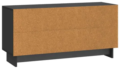 Zdjęcie produktu dla Szafka pod telewizor 102 x 34,5 x 50 cm Czarny