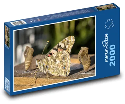 Obrázek produktu pro martinpuzzle - Puzzle 2000 - Motýl