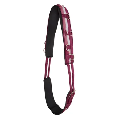 Immagine prodotto di Imperial Riding Deluxe Longiergurt Completo Completo