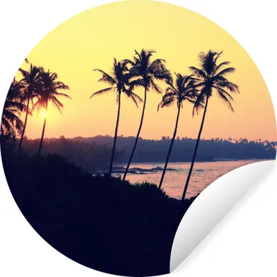 Produktbild von MuchoWow® Runde Wandtattoo - Wandsticker Tapete Aufkleber Meer - Palme - Abend - Landschaft Ø 30 cm Selbstklebend und Repositionierbar - Wandaufkleber - Kreis - Wandbild - Fototapete - Selbstklebend - Dekoration - Wandschmuck - Schlafzimmer