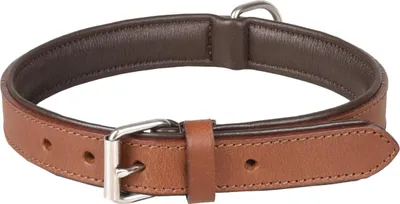 Image de Collier Flamingo Arizona, en cuir marron, dimensions : 42-51 cm / 28 mm