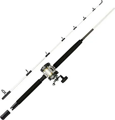 Produktbild von Mitchell Combo Performance SW 702 15/40lbs LH
