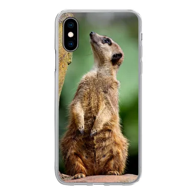 Produktbild von MuchoWow® Handyhülle Schutzhülle Hülle für iPhone X Erdmännchen - Tier - Rock Silikon Softcase Handy Hülle - Handyhülle