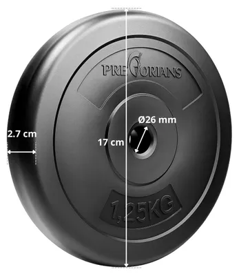 Zdjęcie produktu dla Krążek do hantli, talerz 1,25 kg, obciążenia bitumiczne, wypełnienie betonowe