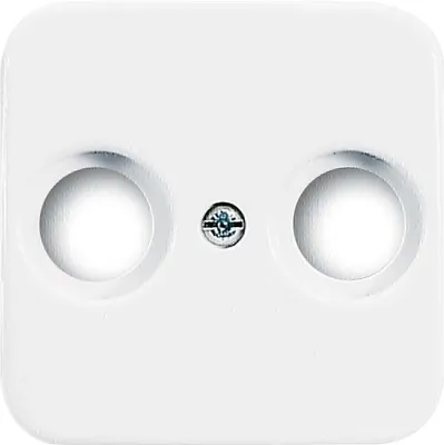 Productafbeelding van Centrale plaat, artikelnummer AWS 2531-214, fabrikant Busch-Jäger, artikelnummer 1724-0-0897, EAN-code 4011395088500