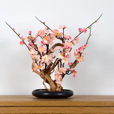 Obrázek produktu pro Pokojová dekorativní bonsai - White plum (PN-39)