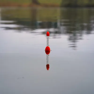 Produktbild von Zeck Fishing Light Waggler 10 g