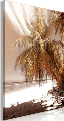 Produktbild von Italienischer Leinwand Leinwandbild - Palm Shadow (1 Part) Vertical 80x120 cm Landschaften c-C-0290-b-a