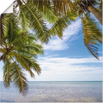 Produktbild von ARTland Poster Florida Keys Das Meer Größe: 30x30 cm