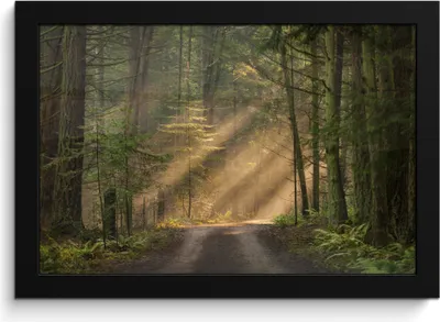 Produktbild von MuchoWow® MuchoWow® Gerahmtes Poster Wald - Baum - Weg 30x20 cm - Poster mit zchwarzem Bilderrahmen - Kunstdruck - Bild-Poster