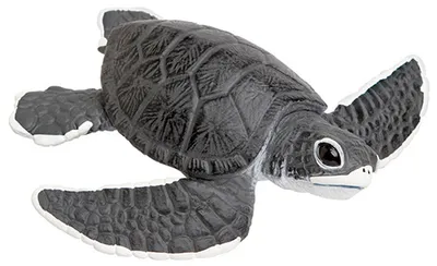 Produktbild von Safari 268129 Meeresschildkrötenbaby