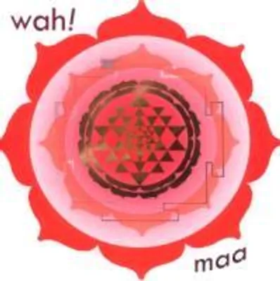 Produktbild von Maa