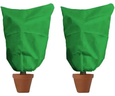 Produktbild von Winterschutz für Pflanzen 2 Stück 60 x 80 cm Grün