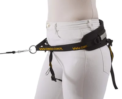 Canicross-Gürtel 4-in-1, verstellbar, reflektierend, schwarz