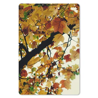 Produktbild von MuchoWow® Mauspad Mousepad Bäume - Herbstblätter - Natur 18x27 cm - Mousepads - Maus Mat - Pad - Mausunterlage