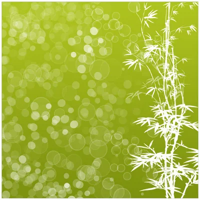Produktbild von Wallario Möbeldesign / Aufkleber, geeignet für Ikea Lack Tisch - Bambusmuster grün-weiß in 55 x 55 cm