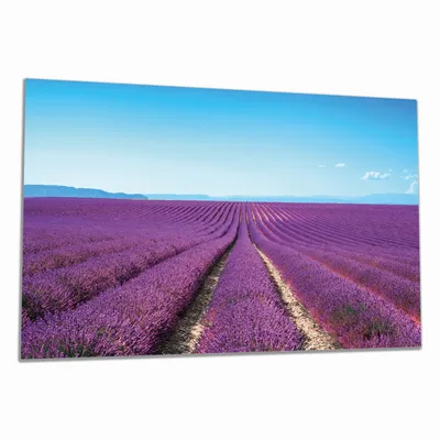 Produktbild von Wallario Herdabdeckplatte aus Glas, Größe 80 x 52 cm 1-teilig, Motiv Lavendelfeld unter blauem Himmel