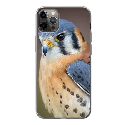 Produktbild von MuchoWow® Handyhülle Schutzhülle Hülle für iPhone 12 Pro Max Vogel - Makro - Blau Silikon Softcase Handy Hülle - Hartschale