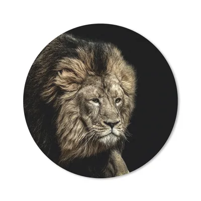 Produktbild von MuchoWow® Mauspad Mousepad Löwe - Tiere - Schwarz 50x50 cm - Mousepads - Maus Mat - Pad - Mausunterlage - Vinyl