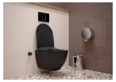 Produktbild von Spülrandloses Wand-WC mit Dusch-WC und Duroplast-Sitz, Hänge-WC, Bautiefe 50 cm, Anthrazit matt
